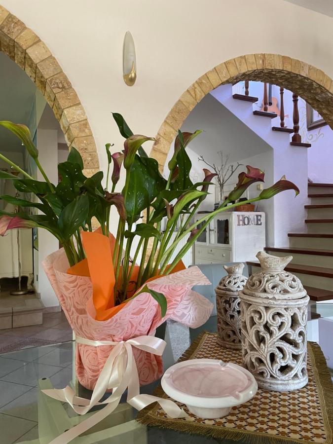 Vintage Home Nikiti  Zewnętrze zdjęcie